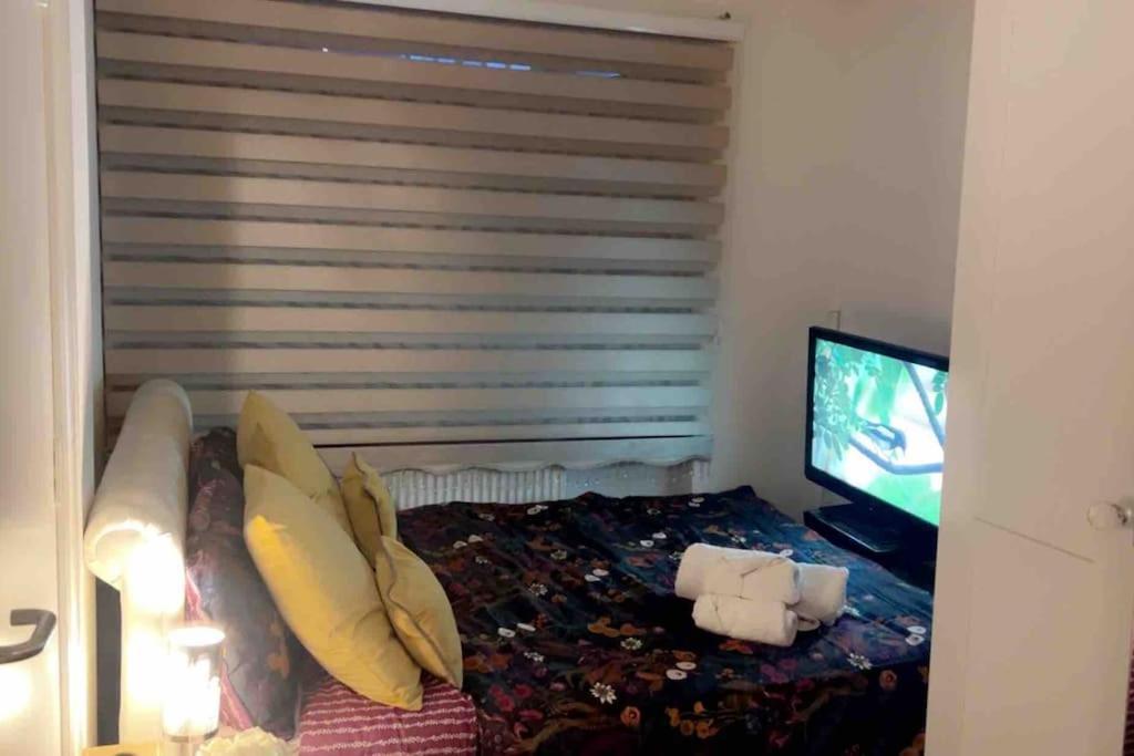 Deluxe Garden Apartment ロンドン エクステリア 写真